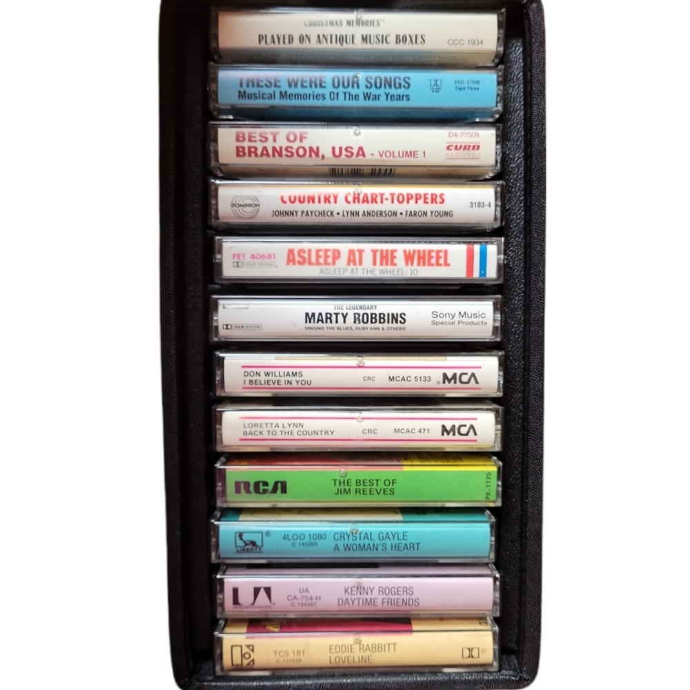 Cassette carrying case with cassettes